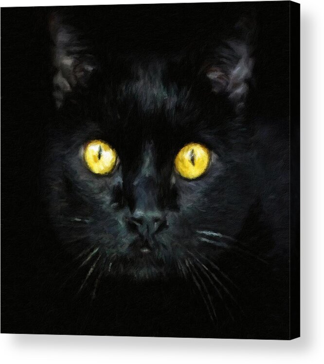 Black Cat Acrylic Print featuring the painting Black Cat With Golden Eyes by Modern Art