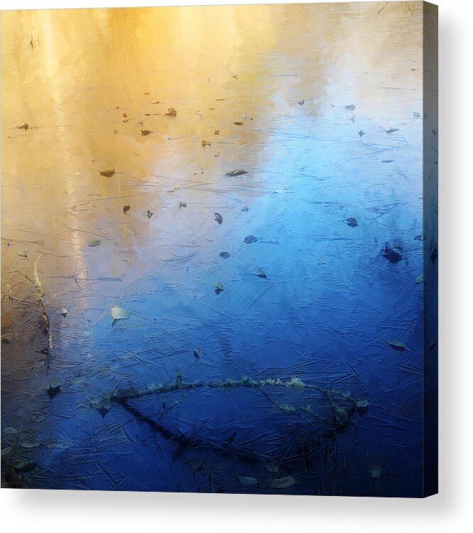 Bloedel Acrylic Print featuring the mixed media Bloedel Pond Abstract 2 by Vicki Hone Smith