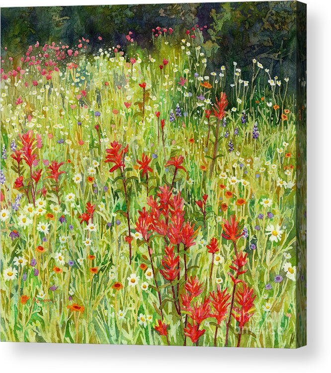 Bluebonnet Acrylic Print featuring the painting Blooming Field - Indian Paintbrush by Hailey E Herrera