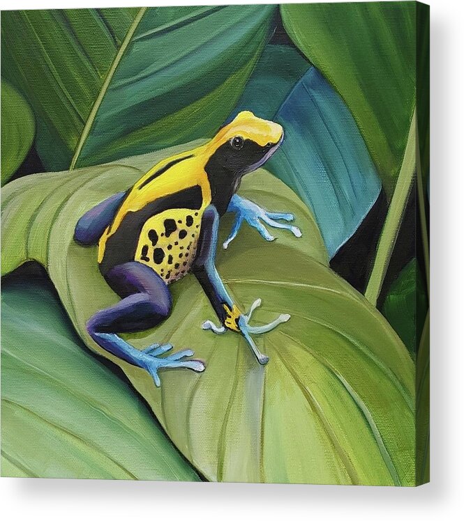 Blue And Yellow Dart Frog Acrylic Print featuring the painting Blue and Yellow Dart by Connie Rish