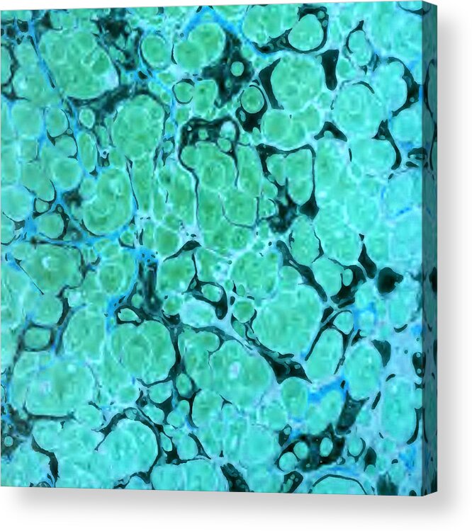 Vintage Book Endpaper Acrylic Print featuring the mixed media Blue Blood by Lorena Cassady