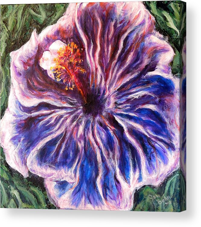 Hibiscus Acrylic Print featuring the painting Blue Hibiscus by John Bohn