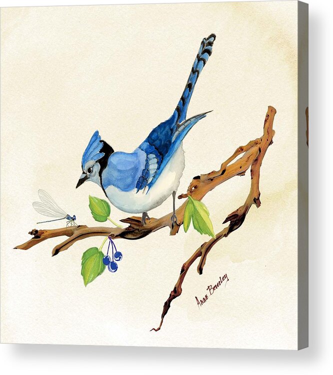 Blue Jay Acrylic Print featuring the painting Blue Jay by Anne Beverley-Stamps