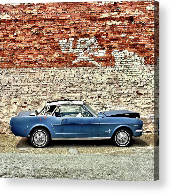  Acrylic Print featuring the photograph Blue Mustang by Julie Gebhardt