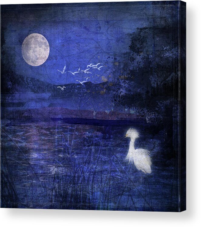 Bird Acrylic Print featuring the digital art Blue Night by Barbara Mierau-Klein