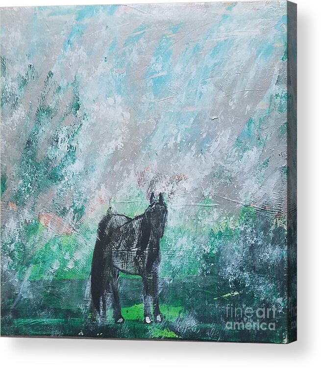  Acrylic Print featuring the painting The Blue Roan Horse in Rain by Mark SanSouci