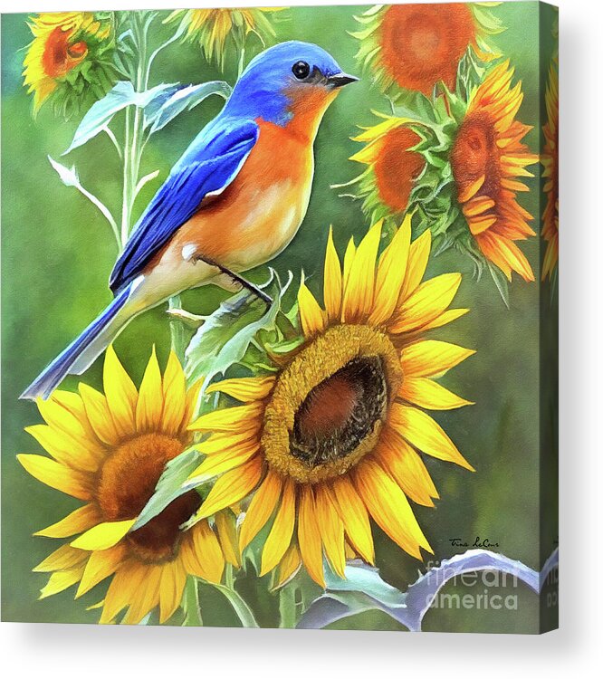 Bluebird Acrylic Print featuring the painting Bluebird Perched On The Sunflowers by Tina LeCour