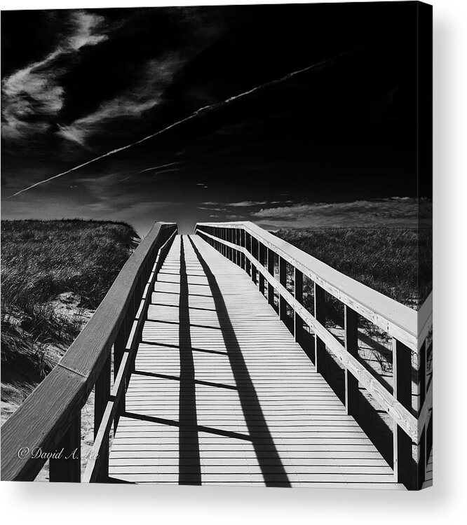 Cape Cod Acrylic Print featuring the photograph Boardwalk by David Lee