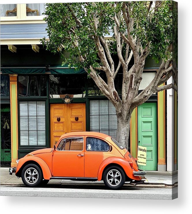  Acrylic Print featuring the photograph Bug And Doors by Julie Gebhardt