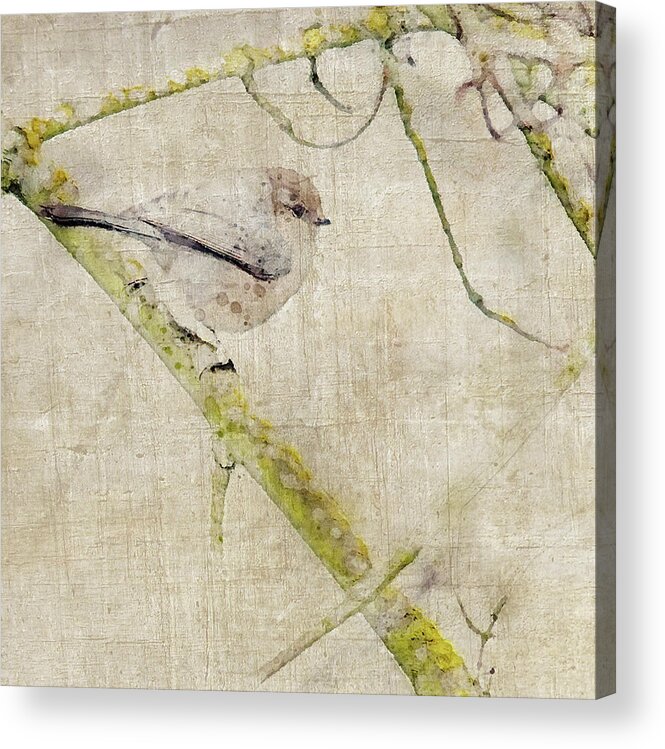 Acrylic Print featuring the photograph Bushtit in Tree Watercolor by Rebecca Cozart