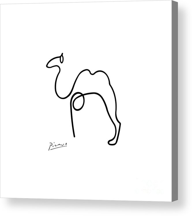 Camel Acrylic Print featuring the painting Camel by Pablo Picasso