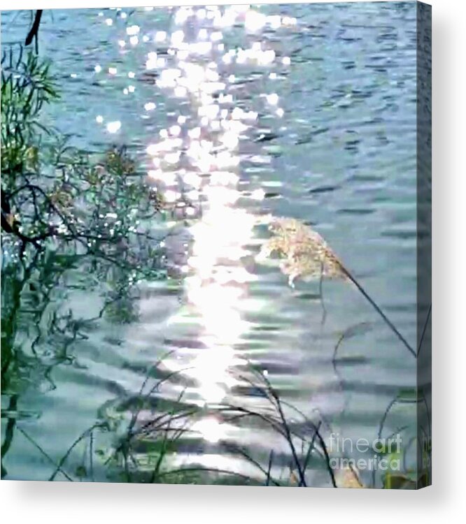 Shinnig Acrylic Print featuring the photograph Charming Light Shining by Carmen Lam