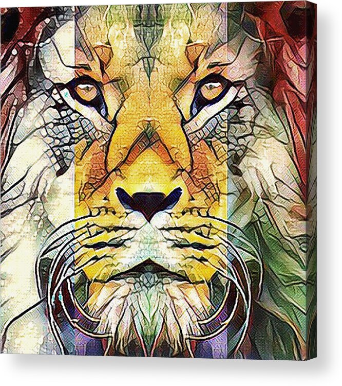 Colorful Lion Acrylic Print featuring the mixed media Colorful African Lion Portrait Wildlife Pop Art by Shelli Fitzpatrick