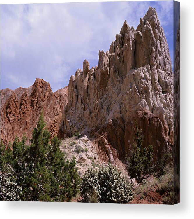 Utah Acrylic Print featuring the photograph Cottonwood Spires #2-SQ by Tom Daniel