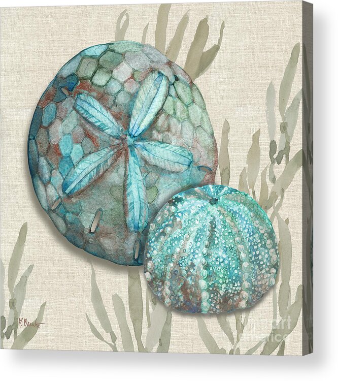 Watercolor Acrylic Print featuring the painting Crescent Beach Shells I by Paul Brent