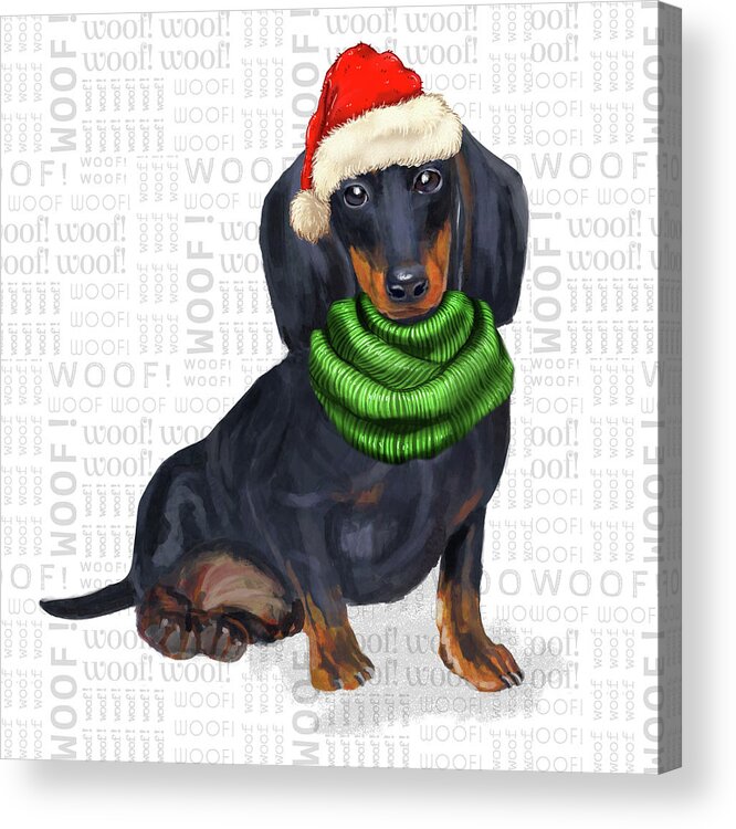 Dachshund Acrylic Print featuring the digital art Dachshund Christmas Dog by Doreen Erhardt