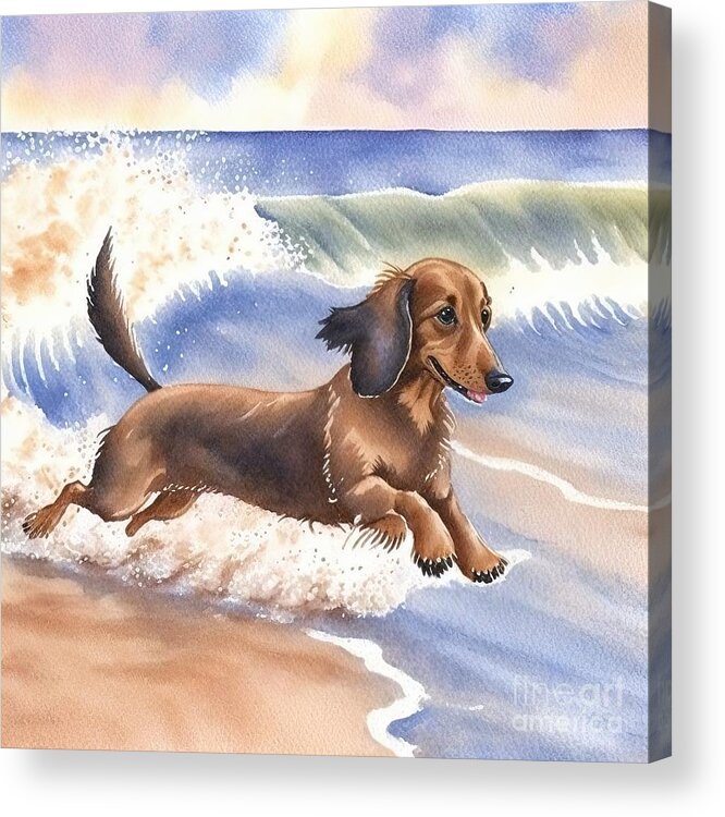 Dachshund Hund Acrylic Print featuring the painting dachshund Hund dog at beach by N Akkash
