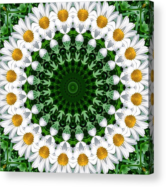 Daisy Chain Acrylic Print featuring the mixed media Daisy Chain Mandala Kaleidoscope Medallion Flower by Mercury McCutcheon