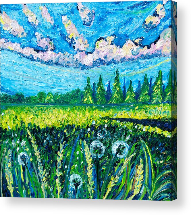 Dandelion Acrylic Print featuring the painting Dandelions by Chiara Magni