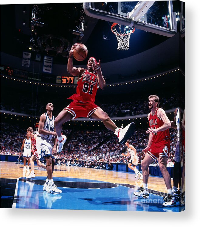 Chicago Bulls Acrylic Print featuring the photograph Dennis Rodman by Andrew D. Bernstein