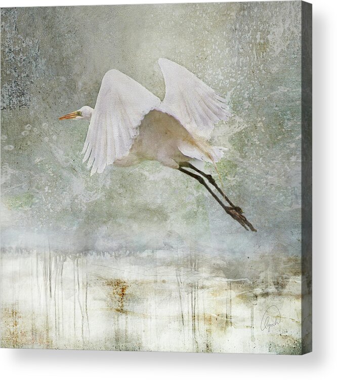Bird Acrylic Print featuring the photograph Departure by Karen Lynch