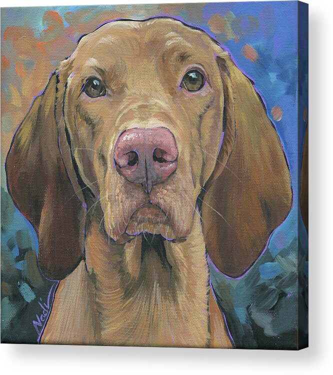 Vizsla Acrylic Print featuring the painting Dex by Nadi Spencer