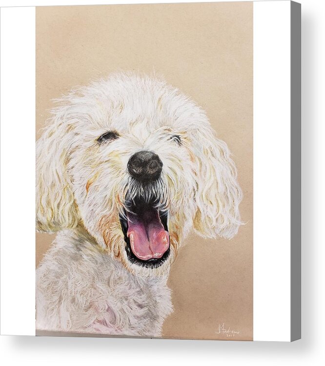 Dogs Acrylic Print featuring the drawing Dylan by James Andrews