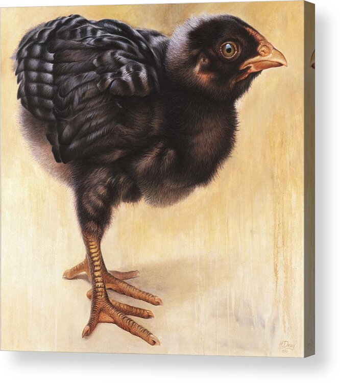 Chicken Acrylic Print featuring the painting Eleanor1 by Hans Droog