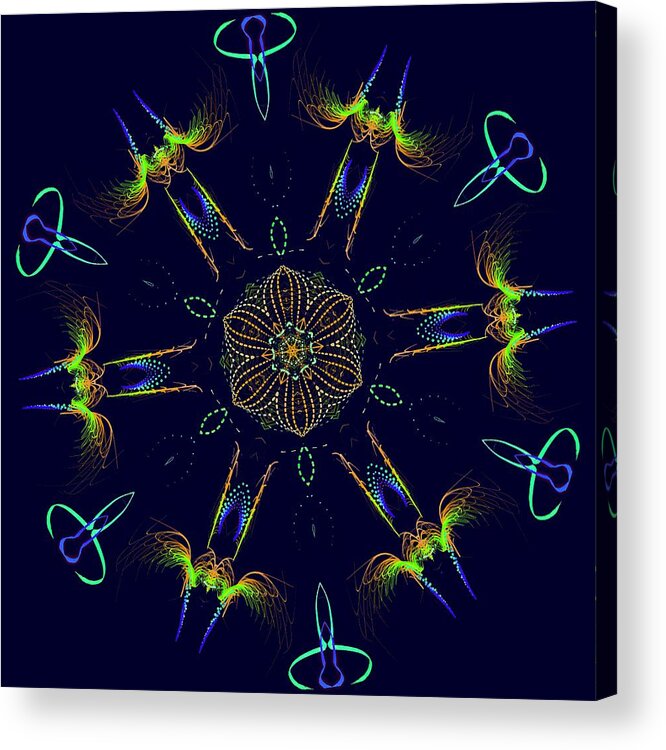 Round Acrylic Print featuring the photograph Evangeline's Firefly by Judy Kennedy