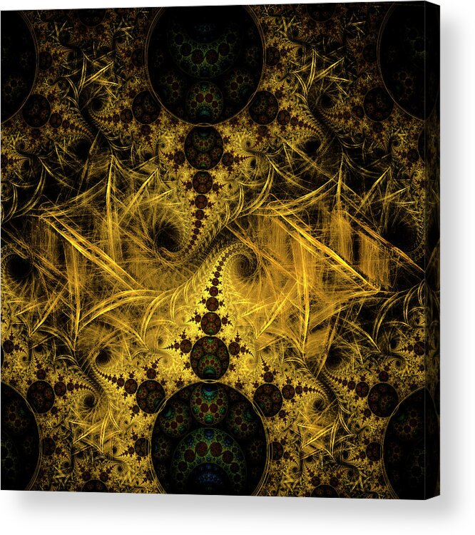 Fractal Acrylic Print featuring the digital art Evolve #2 by Mary Ann Benoit