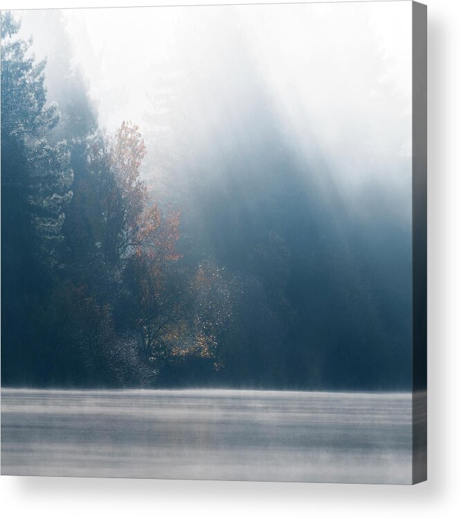 Landscape Photography Acrylic Print featuring the photograph Fall Color Illuminated by Shelby Erickson