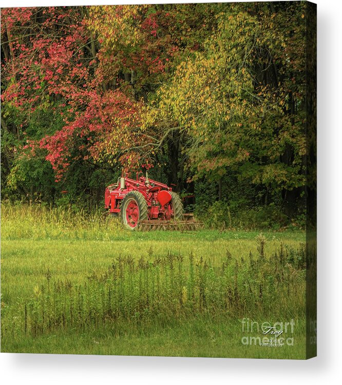 Tractor Acrylic Print featuring the photograph Fall Farmall by Trey Foerster