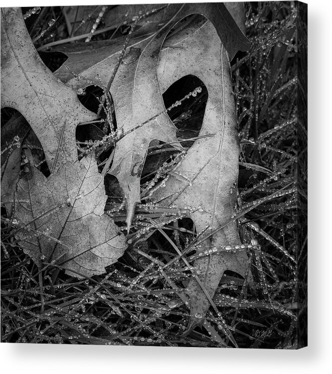 Black Acrylic Print featuring the photograph Fallen Leaves and Dew Drops BW by David Gordon