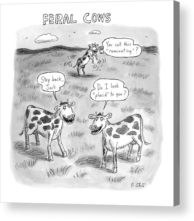 Feral Cows Acrylic Print featuring the drawing Feral Cows by Roz Chast