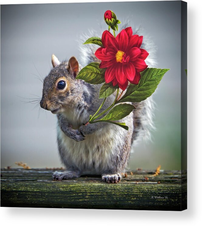 2d Acrylic Print featuring the photograph Flowers For You by Brian Wallace