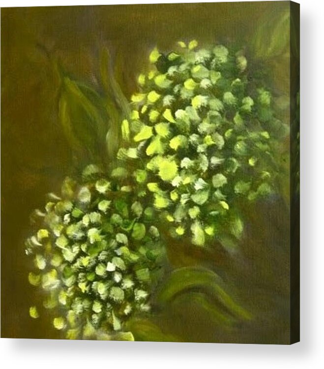 Hydrangea Acrylic Print featuring the painting Flowers from my Garden by Juliette Becker
