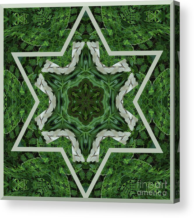 Star Acrylic Print featuring the digital art Fungal Star Kaleidoscope by Charles Robinson