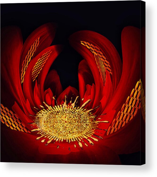 Abstract Art Acrylic Print featuring the digital art Future Flora by Canessa Thomas