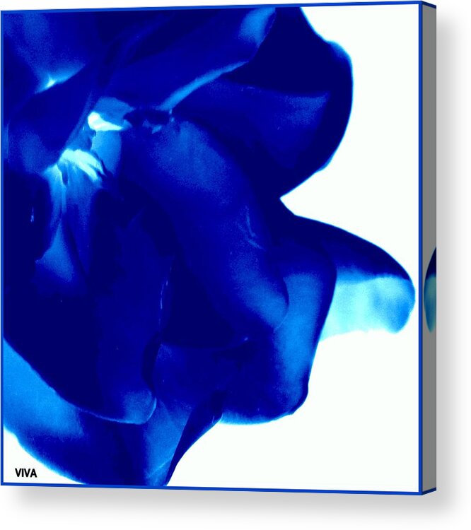 Gardenia Acrylic Print featuring the photograph Gardenia - Blue Abstract by VIVA Anderson
