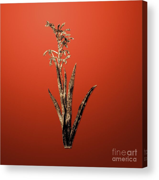 Gold Acrylic Print featuring the painting Gold Antholyza Aethiopica on Tomato Red n.02458 by Holy Rock Design