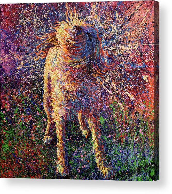 Dog Acrylic Print featuring the painting Graffiti Suspended by Iris Scott