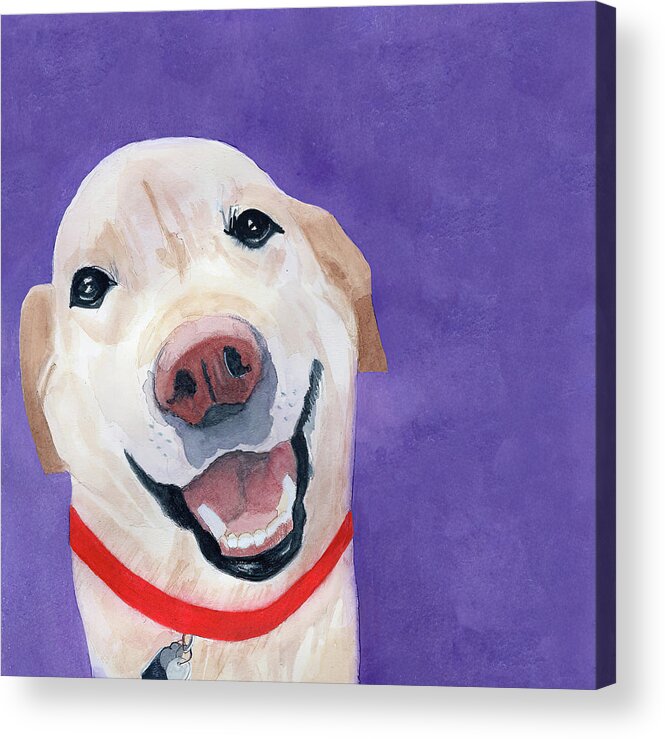 Labrador Retriever Acrylic Print featuring the painting Happy Dog by Deborah League