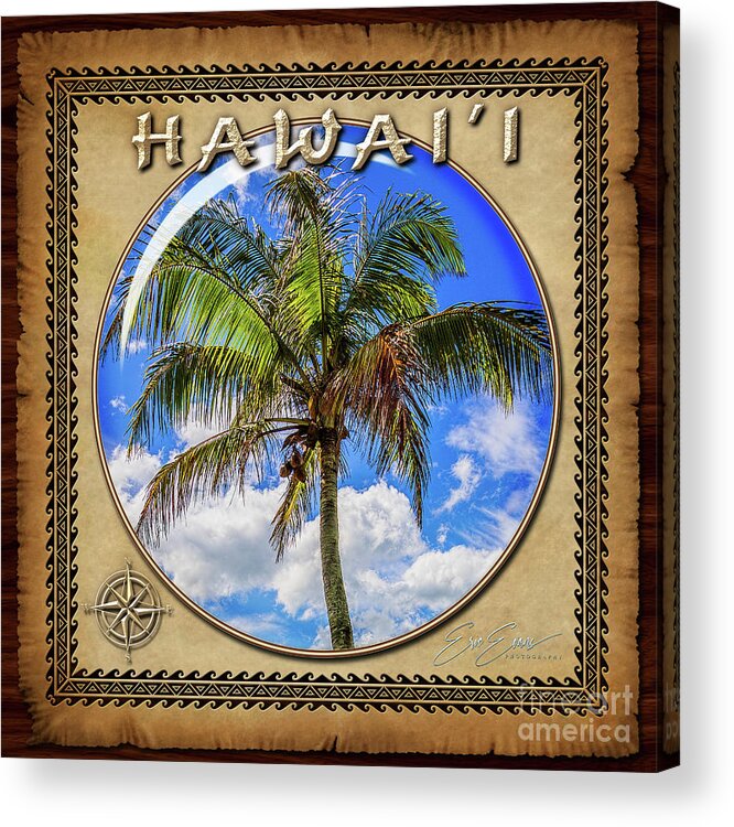 Waikiki Acrylic Print featuring the photograph Hawaiian Palm Tree Sphere Image with Hawaiian Style Border by Aloha Art