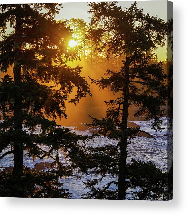 Sunrise Acrylic Print featuring the photograph Here comes the sun by Stephen Sloan