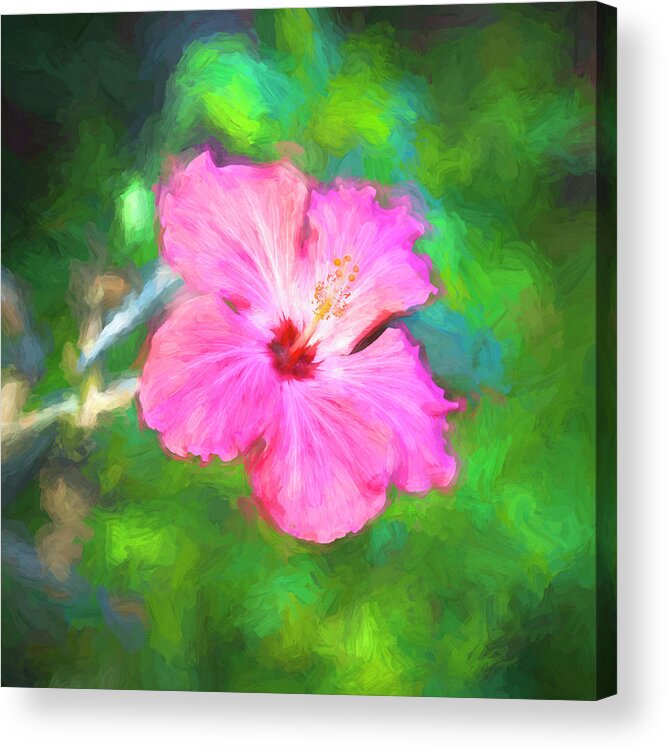 Nature Acrylic Print featuring the photograph Hibiscus Painted Lady X178 by Rich Franco