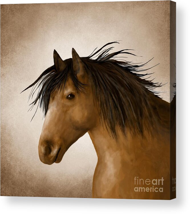 Horse Acrylic Print featuring the digital art Horse 11 by Lucie Dumas
