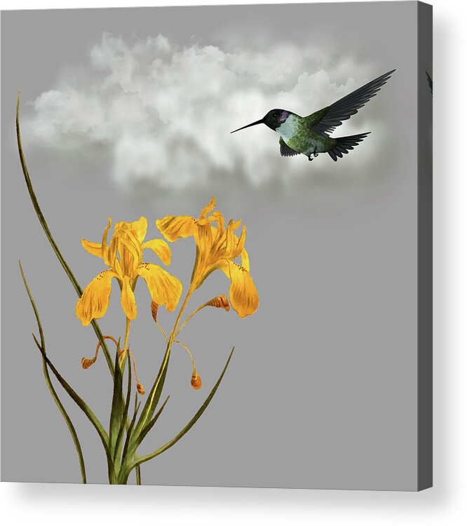 Hummingbird Acrylic Print featuring the digital art Hummingbird In The Garden Pane 5 by David Dehner