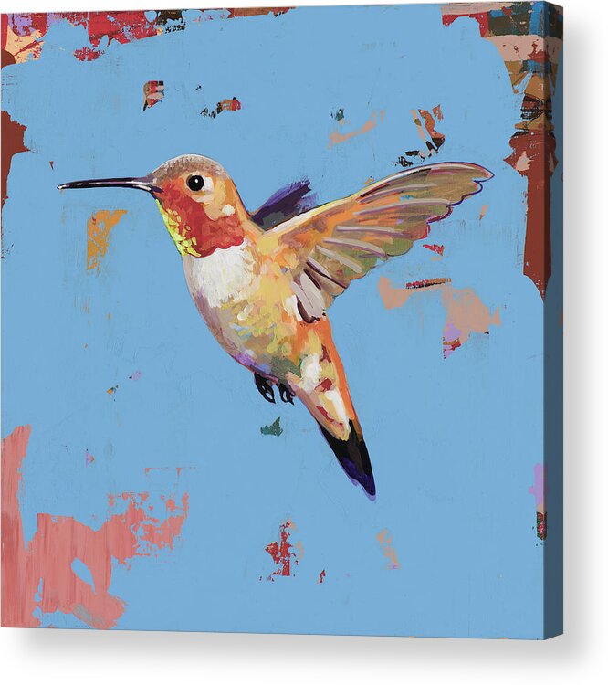 Hummingbird Acrylic Print featuring the painting Hummingbird #32 by David Palmer