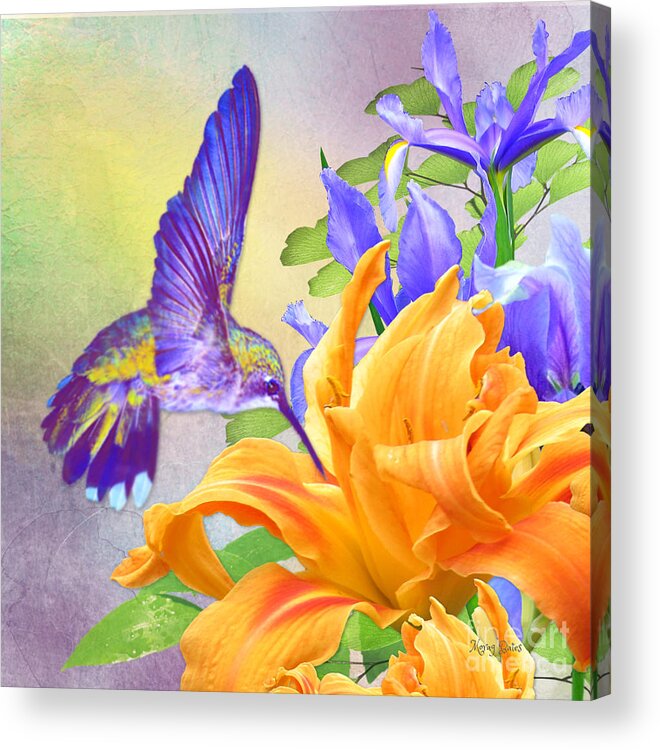 Hummingbird Acrylic Print featuring the digital art Hummingbird on Orange Lily by Morag Bates