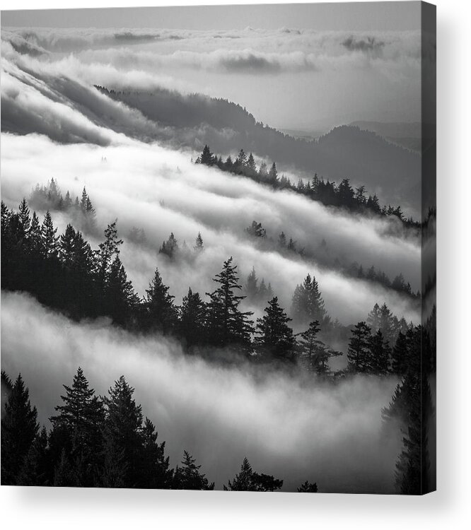 Incoming Fog Acrylic Print featuring the photograph Incoming fog, Mt. Tamalpais by Donald Kinney